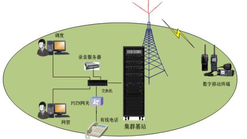 交换机尺寸规格选择：如何根据实际需求精准匹配**